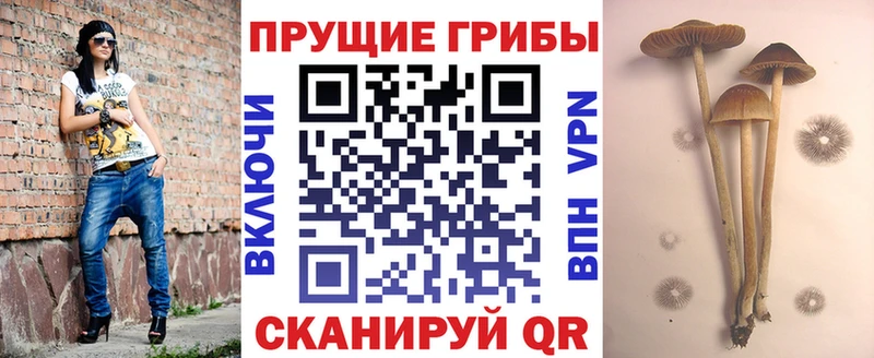 даркнет сайт  Скопин  Псилоцибиновые грибы Cubensis 
